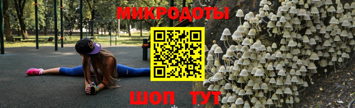 Псилоцибиновые грибы прущие грибы  Псилоцибиновые грибы Psilocybe  Вход с VPN  Владимир 
