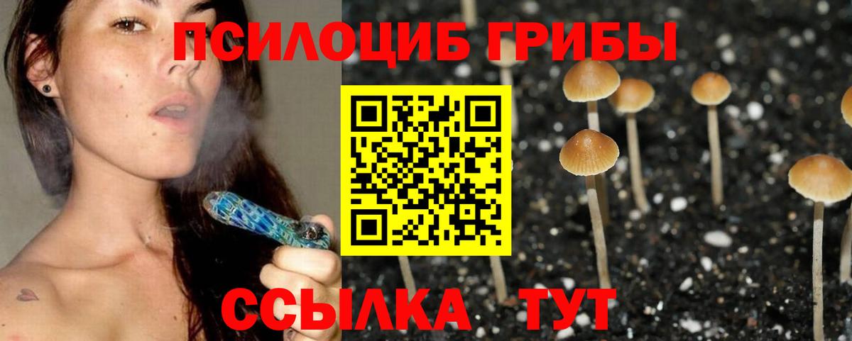 Псилоцибиновые грибы GOLDEN TEACHER Владимир